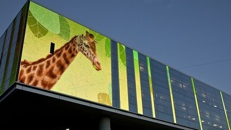 長(zhǎng)沙LED顯示屏公司,長(zhǎng)沙LED顯示屏廠家,長(zhǎng)沙小間距LED顯示屏,長(zhǎng)沙電子顯示屏,長(zhǎng)沙LED異形屏,長(zhǎng)沙LED透明屏,長(zhǎng)沙LED顯示屏,長(zhǎng)沙LED大屏,湖南LED顯示屏公司,湖南電子顯示屏,湖南全彩顯示屏,湖南LED顯示屏,湖南LED大屏