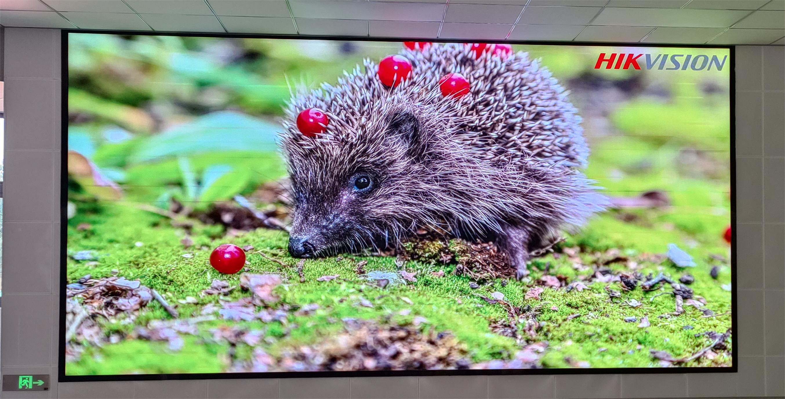 長(zhǎng)沙LED顯示屏公司,長(zhǎng)沙LED顯示屏廠家,長(zhǎng)沙小間距LED顯示屏,長(zhǎng)沙電子顯示屏,長(zhǎng)沙LED異形屏,長(zhǎng)沙LED透明屏,長(zhǎng)沙LED顯示屏,長(zhǎng)沙LED大屏,湖南LED顯示屏公司,湖南電子顯示屏,湖南全彩顯示屏,湖南LED顯示屏,湖南LED大屏